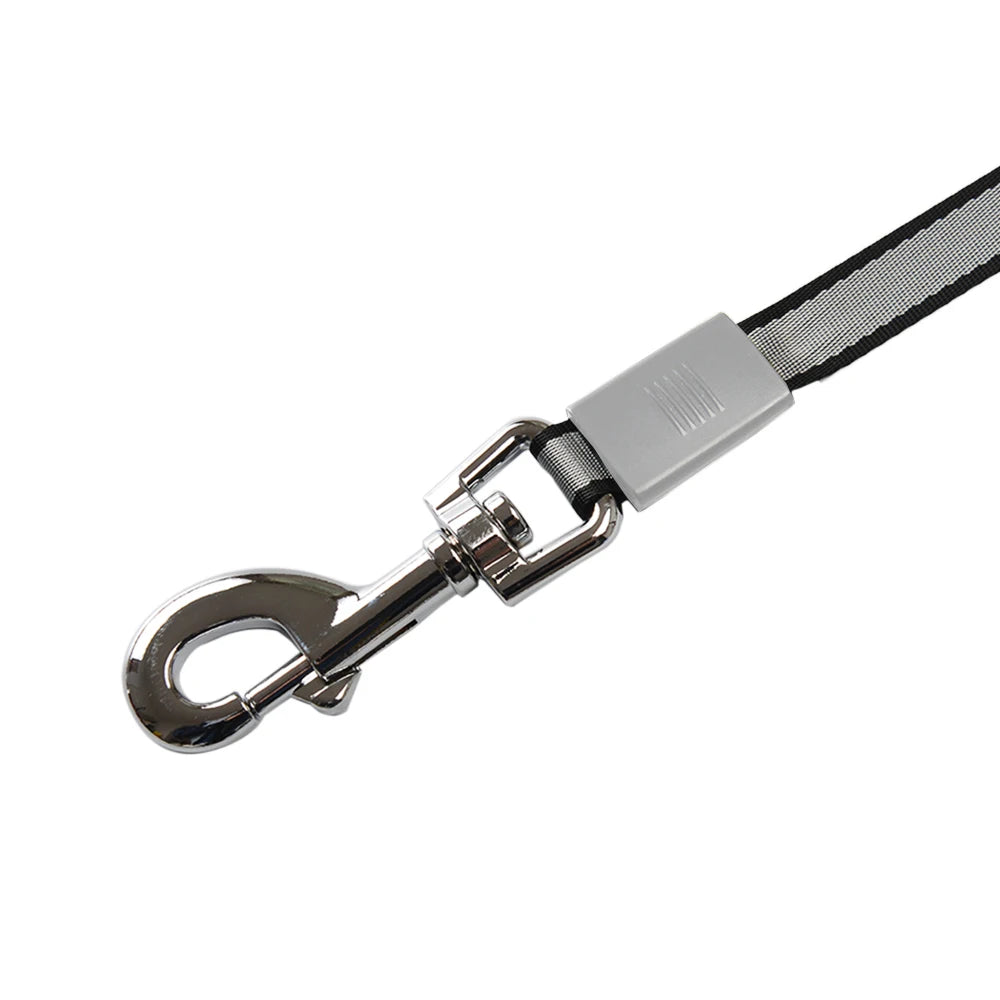 Retractable Dog Leash - Roulette Collar for Small Big Dog
