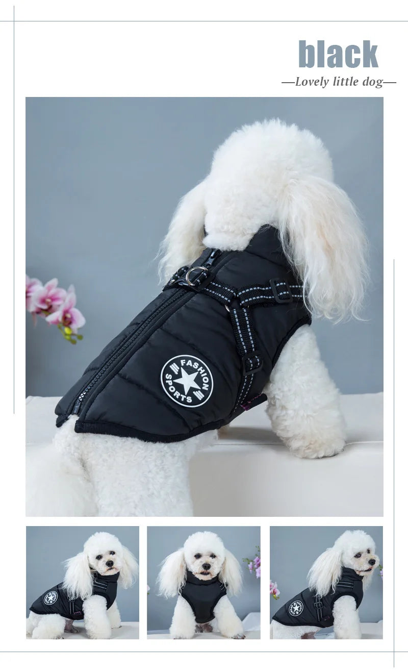 Pet Dog Jacket With Harness - Waterproof Outdoor Dog Coat
